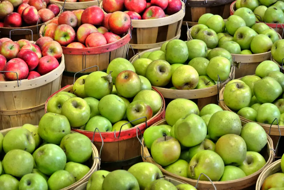 Wooden bushel baskets crammed with green apples and red-and-yellow apples fill the frame.