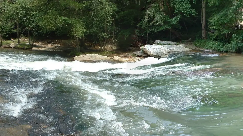 White water pours across a broad, low ledge of dark rock and spreads into a swirling green pool, with large pale boulders and a wooded bank of summer trees behind.