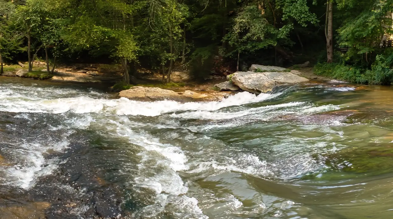 White water pours over a low rock ledge across the river, with large pale boulders on the far bank and dense green summer woods behind.