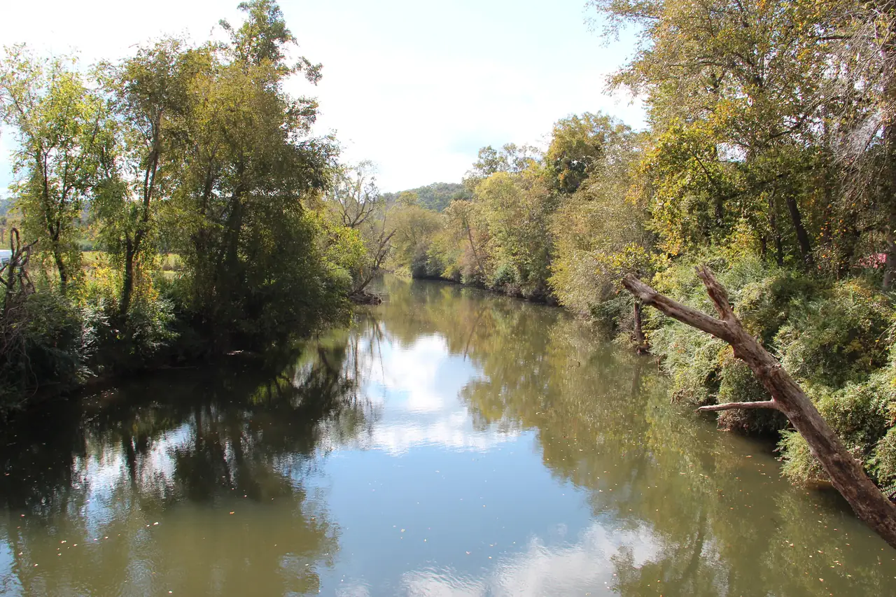 A calm brown-green river reflects the sky and the trees lining both banks in early autumn color, with a fallen tree trunk leaning out from the right bank and a wooded hill in the distance.
