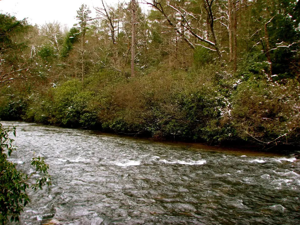 A wide, fast, riffled grey-green river runs across the lower half of the frame below a dense bank of rhododendron and bare and evergreen trees lightly dusted with snow, with a rhododendron branch in the lower-left foreground.
