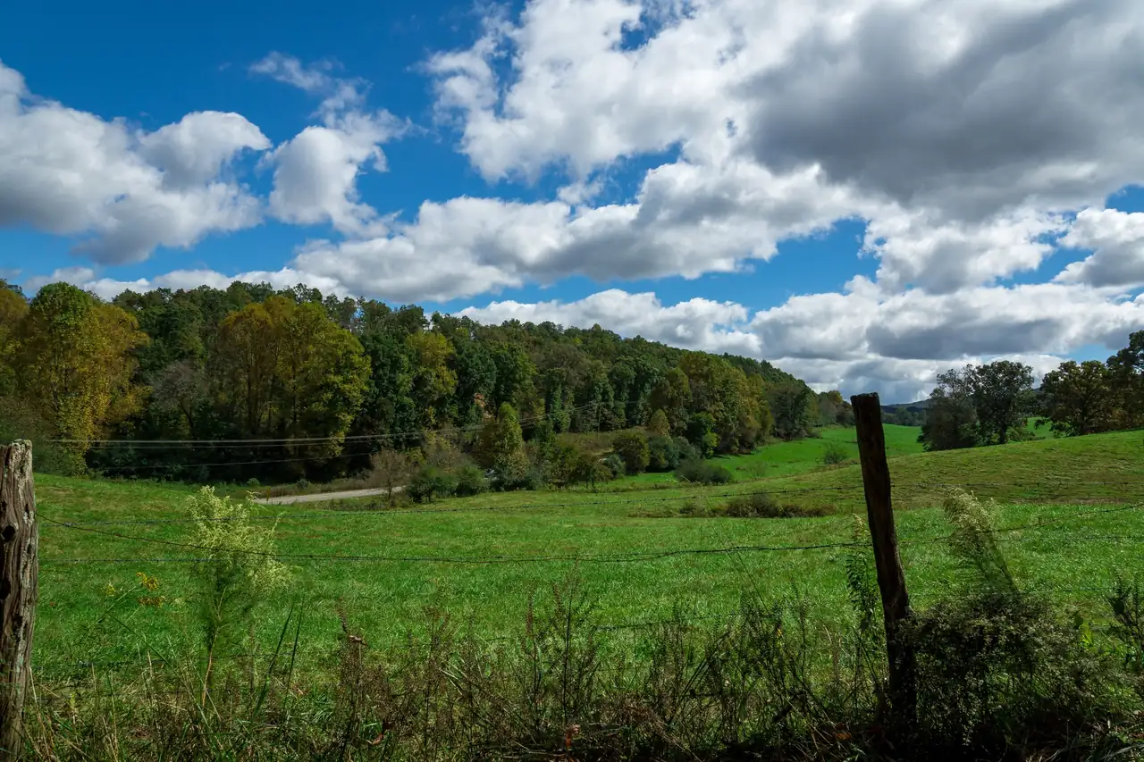 A bright green rolling pasture behind a barbed-wire fence and weathered fence posts, with a gravel lane, a wooded hillside just turning yellow, and big white cumulus clouds in a deep blue sky.